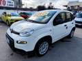 Fiat Panda Panda III 2021 1.0 firefly hybrid s Weiß - thumbnail 6