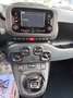 Fiat Panda Panda III 2021 1.0 firefly hybrid s Weiß - thumbnail 11