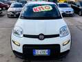 Fiat Panda Panda III 2021 1.0 firefly hybrid s Weiß - thumbnail 19