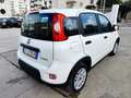 Fiat Panda Panda III 2021 1.0 firefly hybrid s Weiß - thumbnail 3