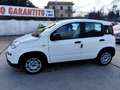 Fiat Panda Panda III 2021 1.0 firefly hybrid s Weiß - thumbnail 25