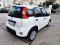 Fiat Panda Panda III 2021 1.0 firefly hybrid s Weiß - thumbnail 22