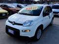 Fiat Panda Panda III 2021 1.0 firefly hybrid s Weiß - thumbnail 27