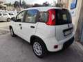 Fiat Panda Panda III 2021 1.0 firefly hybrid s Weiß - thumbnail 31