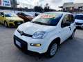 Fiat Panda Panda III 2021 1.0 firefly hybrid s Weiß - thumbnail 26