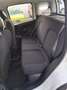 Fiat Panda Panda III 2021 1.0 firefly hybrid s Weiß - thumbnail 8