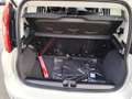 Fiat Panda Panda III 2021 1.0 firefly hybrid s Weiß - thumbnail 13