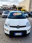 Fiat Panda Panda III 2021 1.0 firefly hybrid s Weiß - thumbnail 17