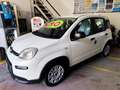 Fiat Panda Panda III 2021 1.0 firefly hybrid s Weiß - thumbnail 28