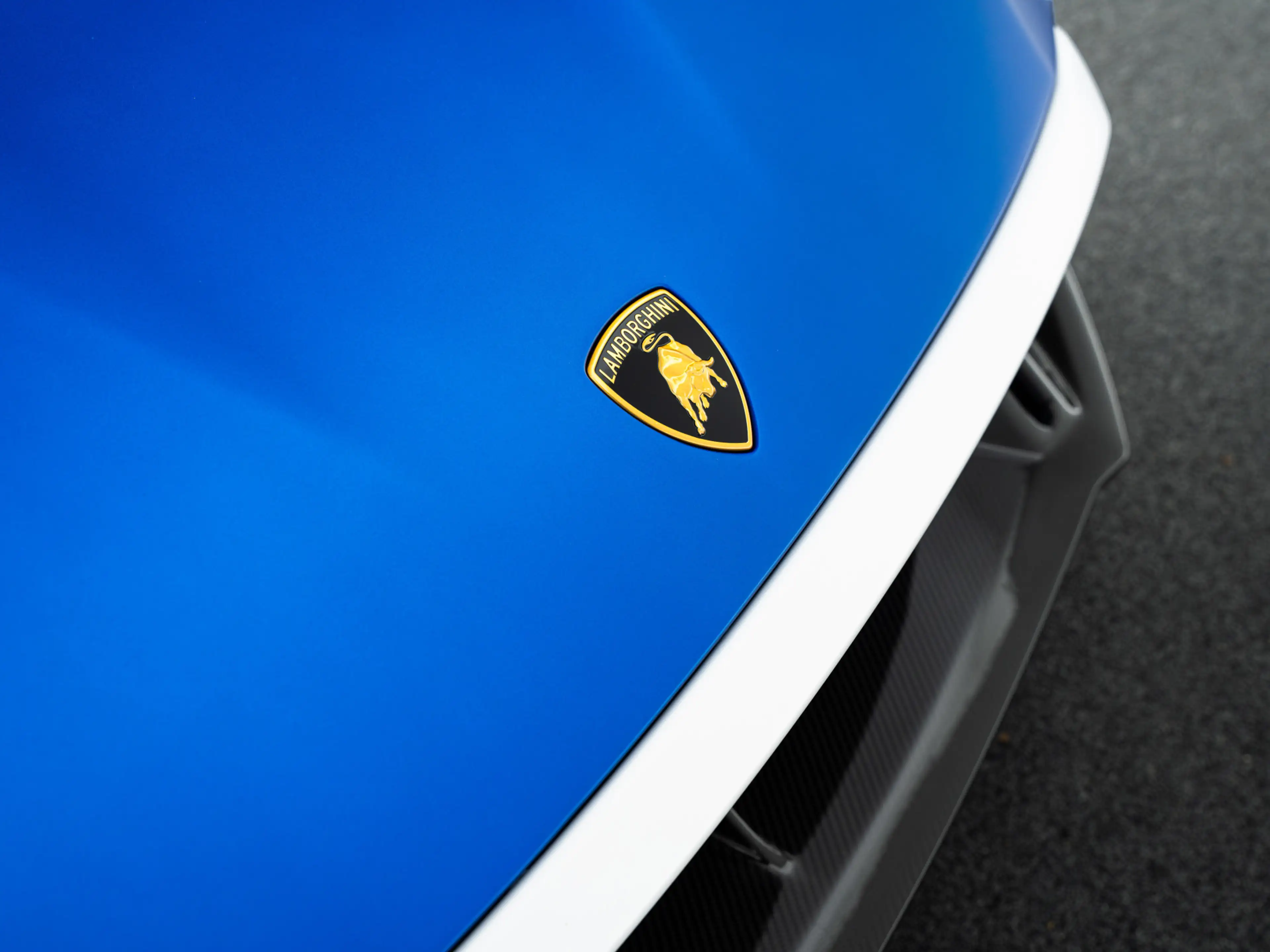 Lamborghini Huracán STO | Livery packs | Full Carbon — photo 13