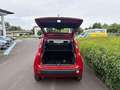 Fiat Panda 1.0 FireFly S&S Hybrid Czerwony - thumbnail 5