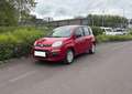 Fiat Panda 1.0 FireFly S&S Hybrid Czerwony - thumbnail 1