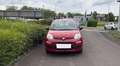 Fiat Panda 1.0 FireFly S&S Hybrid Czerwony - thumbnail 2