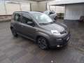 Fiat Panda Panda 1.0 FireFly S&S Hybrid City Life Grigio - thumbnail 6