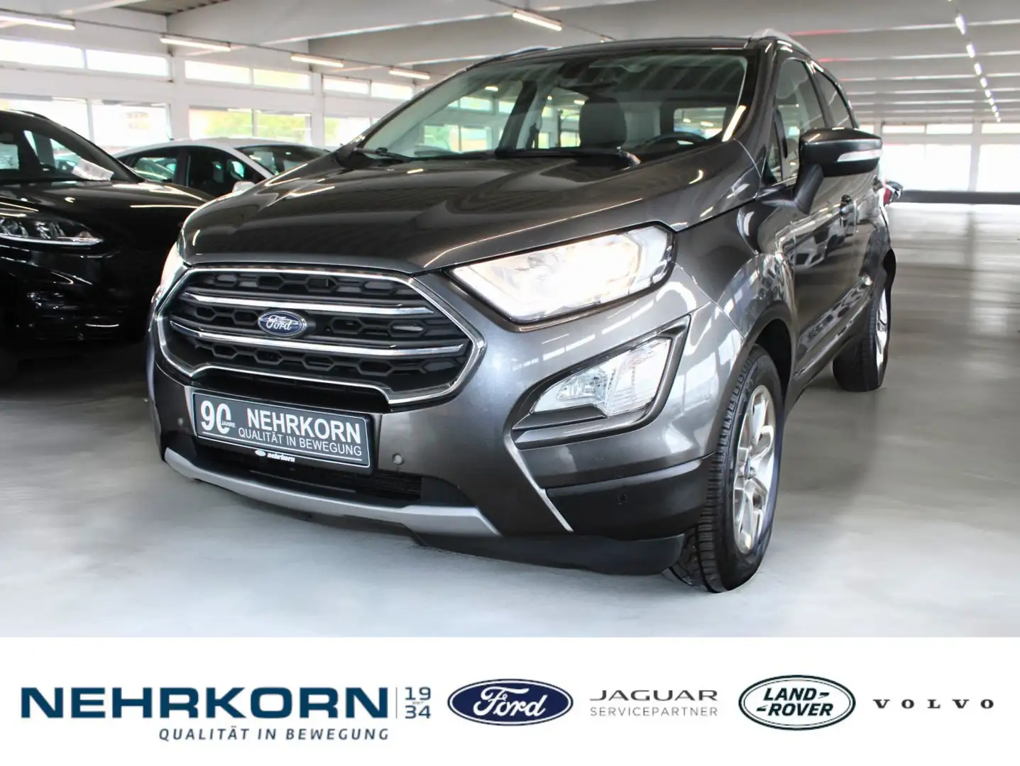Ford EcoSport ECOSPORT AUTOMATIK TITANIUM NAVI CAM PDC WinterPak Grijs - 1