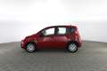 Fiat New Panda 1.0 FireFly S&S Hybrid Pandina Красный - thumbnail 6