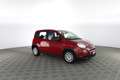 Fiat New Panda 1.0 FireFly S&S Hybrid Pandina Красный - thumbnail 2