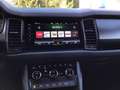 Skoda Kodiaq RS 2,0 TSI DSG 4x4 Pano AHK 7-Sitzer Grau - thumbnail 14