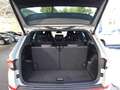 Skoda Kodiaq RS 2,0 TSI DSG 4x4 Pano AHK 7-Sitzer Grau - thumbnail 11