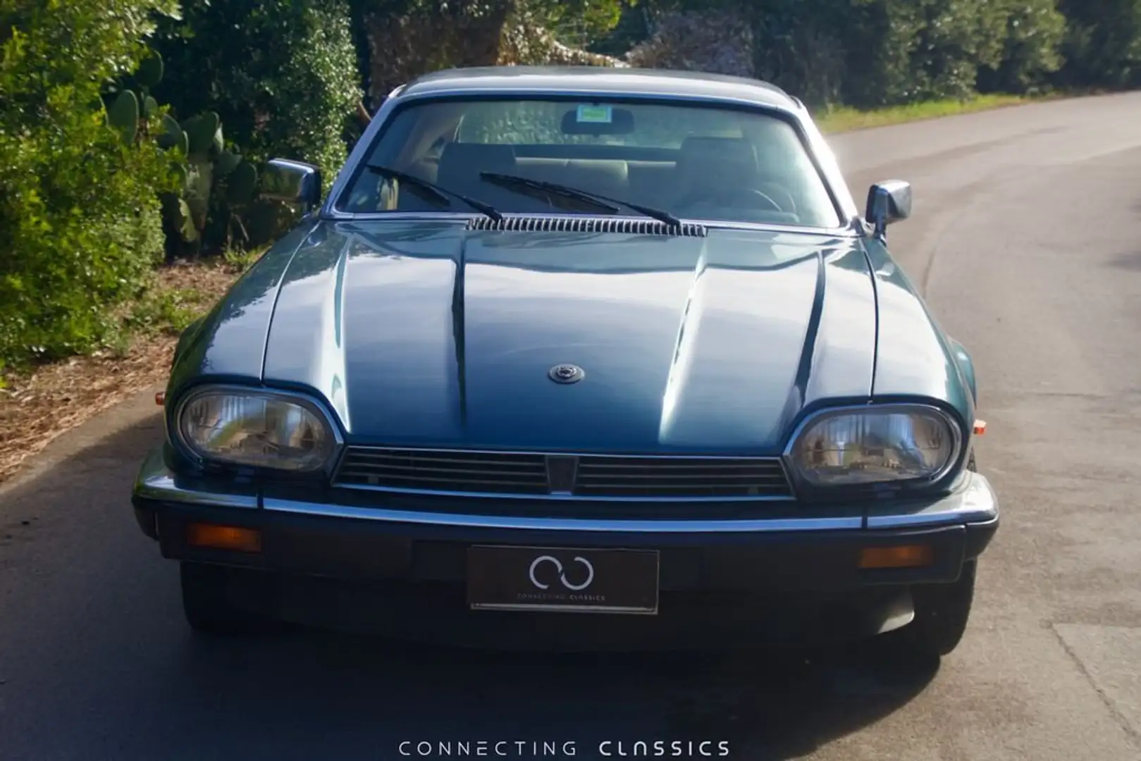Jaguar XJS 3.6 Blu/Azzurro - 1