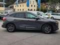 Ford Kuga Kuga 1,5 EcoBlue ST-Line Aut. ST-Line Grau - thumbnail 6