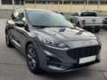 Ford Kuga Kuga 1,5 EcoBlue ST-Line Aut. ST-Line Grau - thumbnail 8