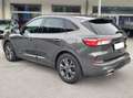 Ford Kuga Kuga 1,5 EcoBlue ST-Line Aut. ST-Line Grau - thumbnail 3