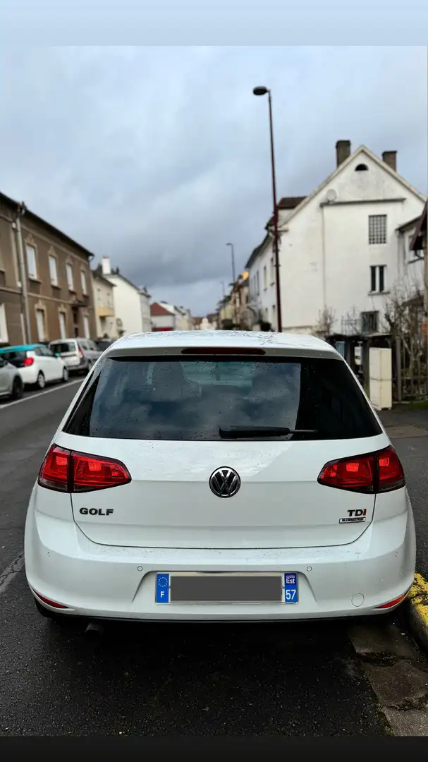 Volkswagen Golf 1.6 TDI 115 BlueMotion Technology FAP Carat Exclus - 1