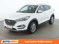 Hyundai TUCSON 1.7 CRDi Edition 25 2WD Weiß - thumbnail 1