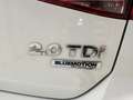 Volkswagen Golf 2.0TDI CR BMT Advance DSG 150 Weiß - thumbnail 14