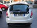 Lancia Ypsilon 1.0 hybrid Silver 70 CV PREZZO REALE Bianco - thumbnail 4