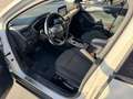 Ford Focus Focus 1.5 EcoBlue 120 CV automatico 5p. Active Co Beige - thumbnail 5