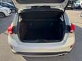 Ford Focus Focus 1.5 EcoBlue 120 CV automatico 5p. Active Co Beige - thumbnail 19