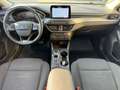 Ford Focus Focus 1.5 EcoBlue 120 CV automatico 5p. Active Co Beige - thumbnail 12