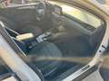 Ford Focus Focus 1.5 EcoBlue 120 CV automatico 5p. Active Co Beige - thumbnail 9