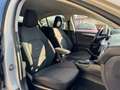 Ford Focus Focus 1.5 EcoBlue 120 CV automatico 5p. Active Co Beige - thumbnail 10