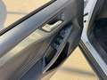 Ford Focus Focus 1.5 EcoBlue 120 CV automatico 5p. Active Co Beige - thumbnail 4