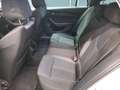 Skoda Octavia Combi 2.0 TDI DSG Clever AHK*SHZ*KESSY*GRA Weiß - thumbnail 5