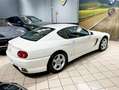 Ferrari 456 456 5.5 GT Da concorso!!!!!!!! Blanco - thumbnail 4