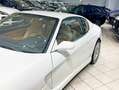 Ferrari 456 456 5.5 GT Da concorso!!!!!!!! Blanco - thumbnail 24