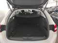 Peugeot 308 2ª serie - 308 BlueHDi 130 S&S SW Business Bianco - thumbnail 16