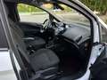 Ford B-Max 1.4 Business Titanium Gpl 87cv E6 - thumbnail 5