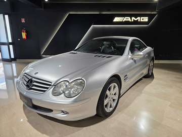 SL 500 cat