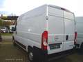 Opel Movano L2H2 Edition*Klima*Tüv neu*Garantie* Weiß - thumbnail 13