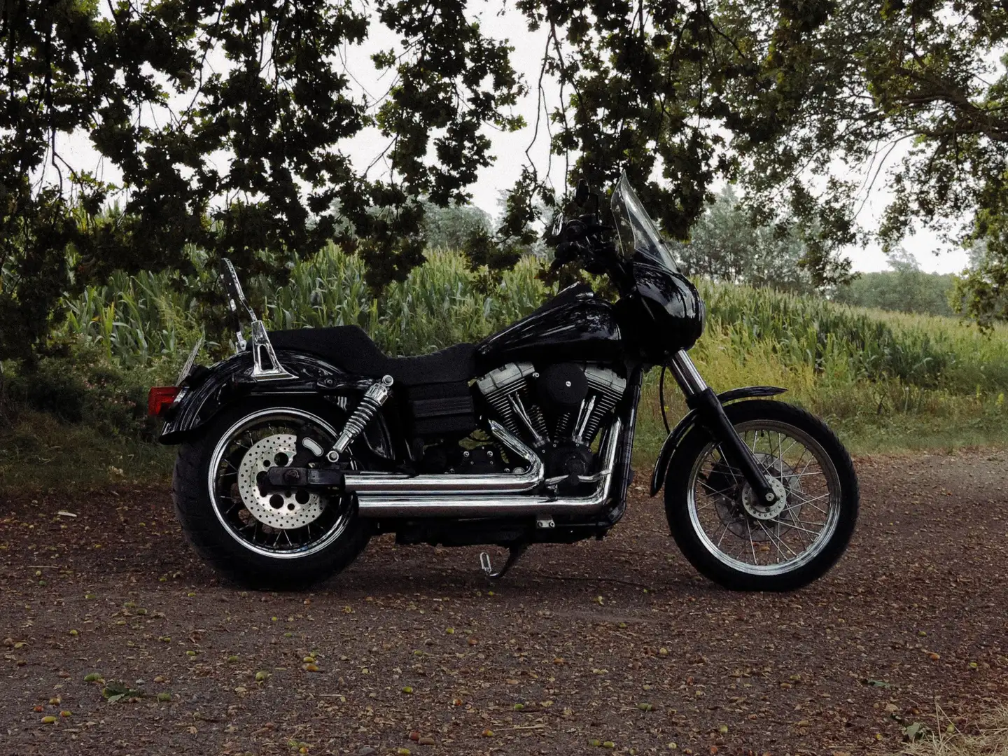 Harley-Davidson Dyna Street Bob Negru - 2