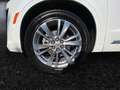 Cadillac XT6 Premium Luxury AWD 3.6L V6 AHK+Navi Blanco - thumbnail 9