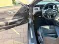 Ford Mustang GT 5.0 Ti-VCT V8 Automatik - thumbnail 12