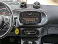 smart forFour PASSION 1.0cc 71cv LANE ASSIST SEDILI RISCALD. Grigio - thumbnail 14