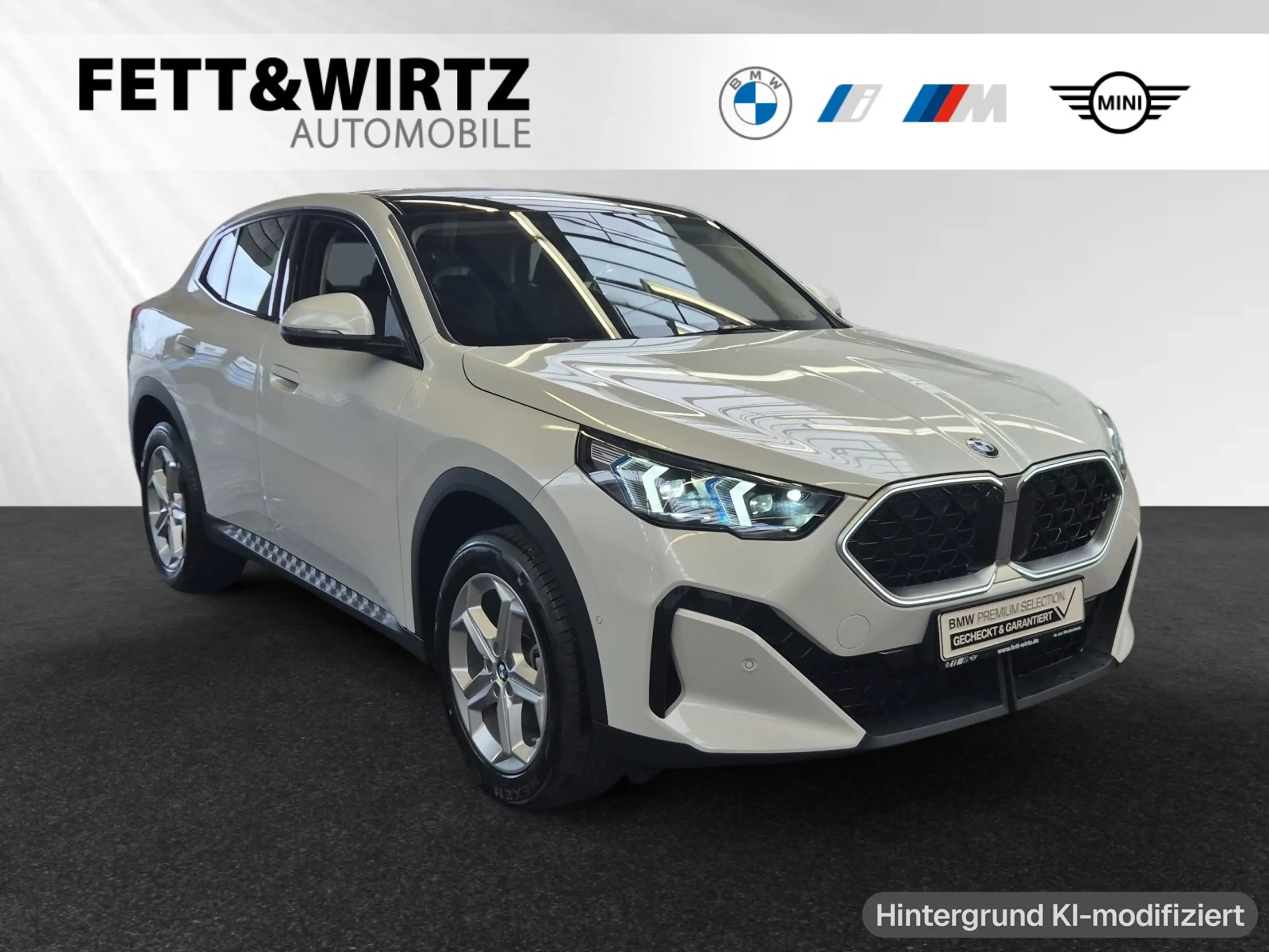 BMW X2 sDrive20d Panorama|Head-Up|18"LMR|DA&PA+
