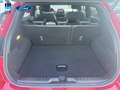 Ford Puma 1.0 EcoBoost MHEV Titanium 125 Rojo - thumbnail 13